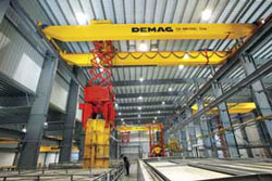 Demag Crane